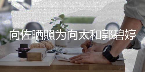 碧婷向佐向太太和婷庆同一天生和郭晒照生 郭碧为向日
