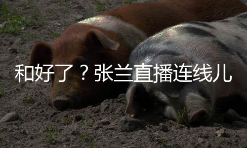 心病大S怼网了连线太重张兰直播和好 怒儿媳友疑